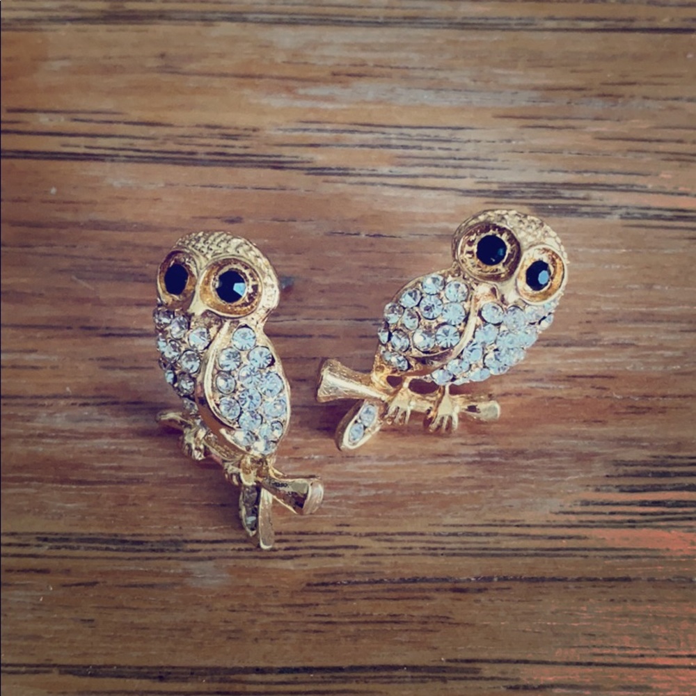 Amrita Singh baby owl earrings